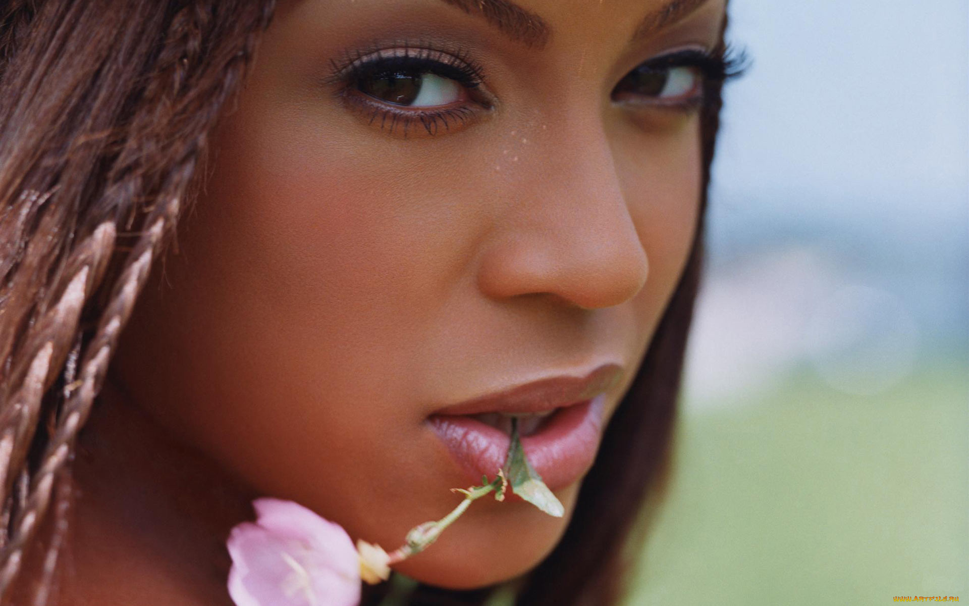 , beyonce, knowles, , 